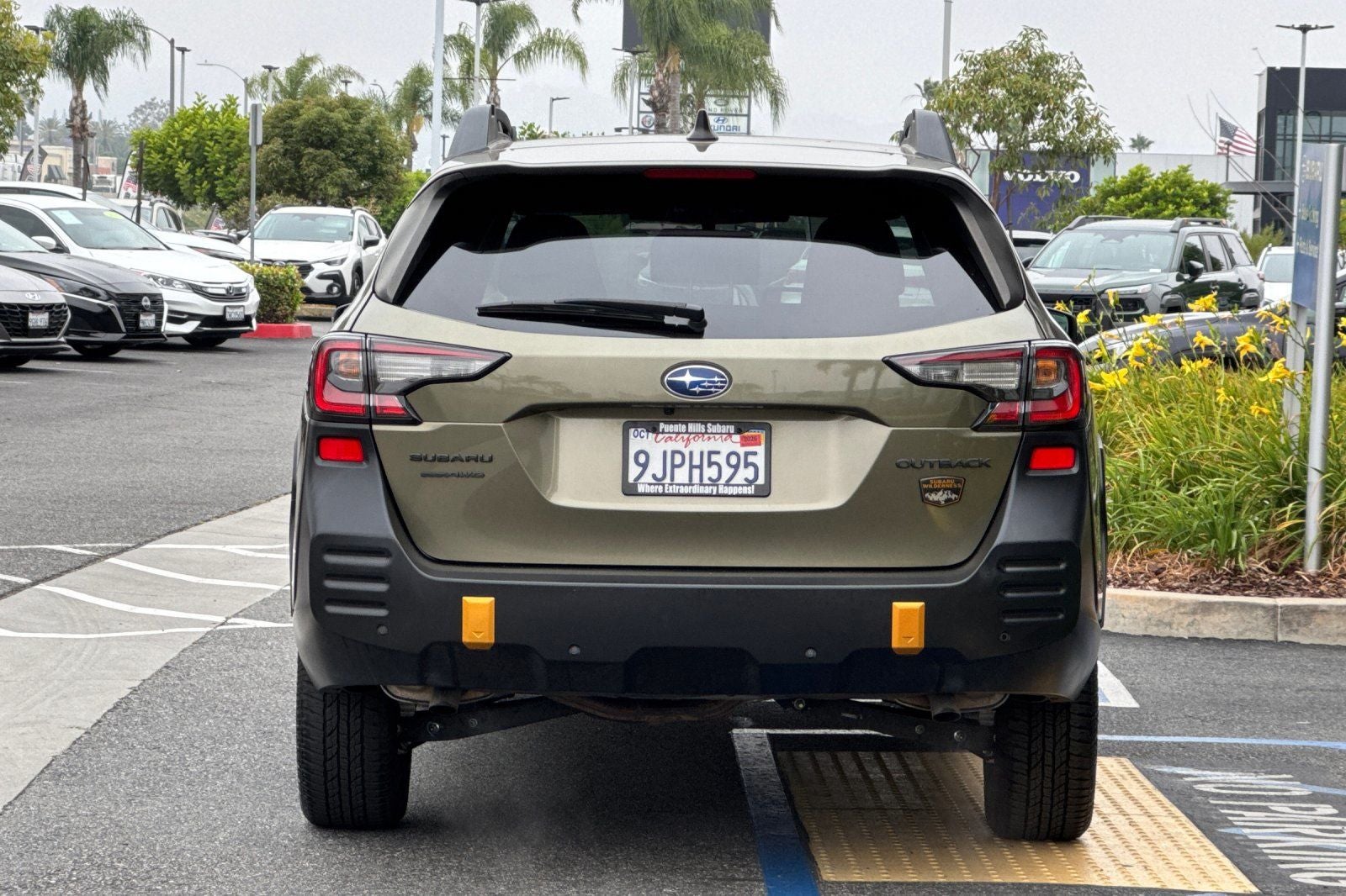 2024 Subaru Outback Wilderness