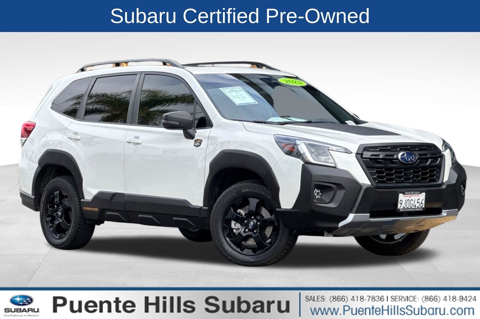 2023 Subaru Forester Wilderness