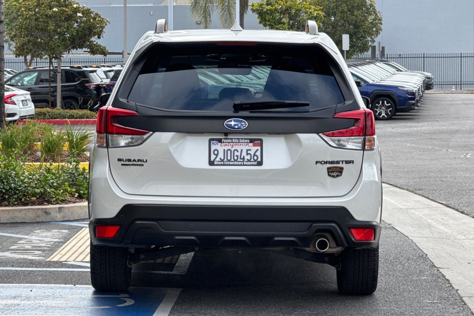 2023 Subaru Forester Wilderness