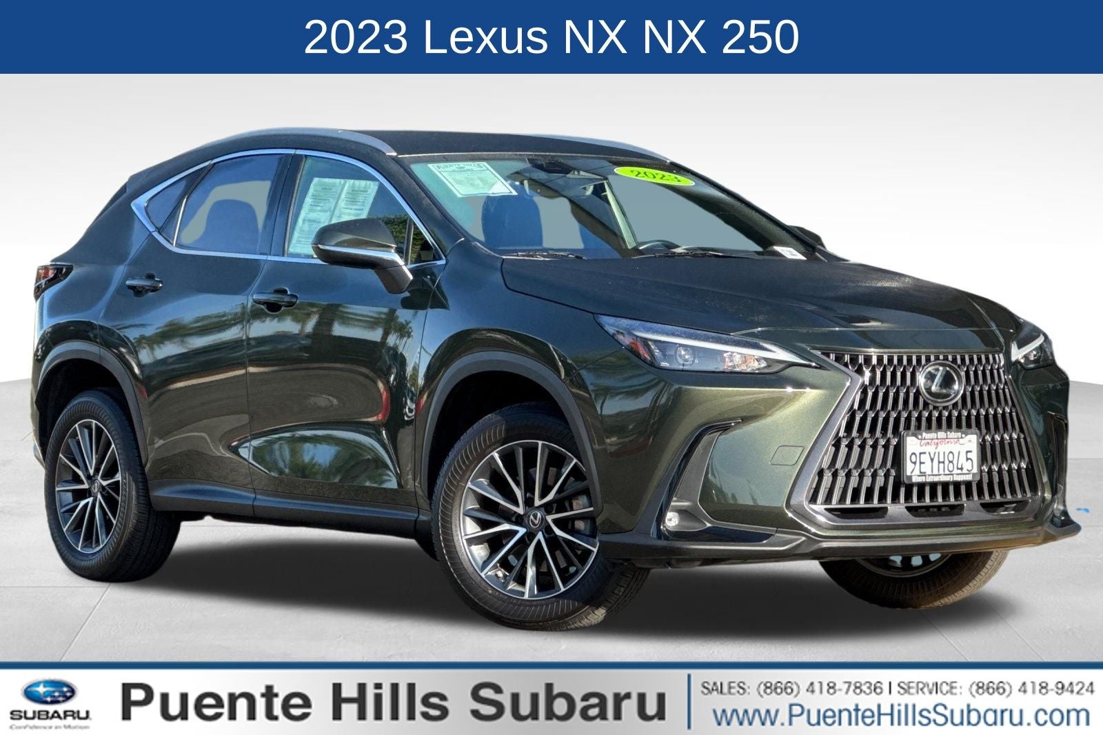 2023 Lexus NX 250 Base