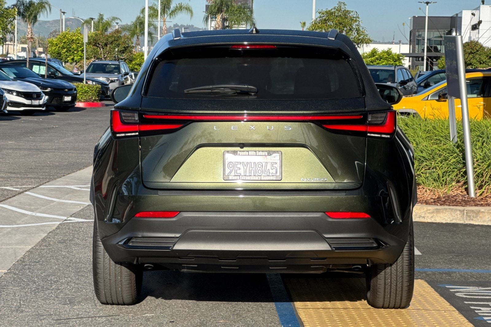 2023 Lexus NX 250 Base