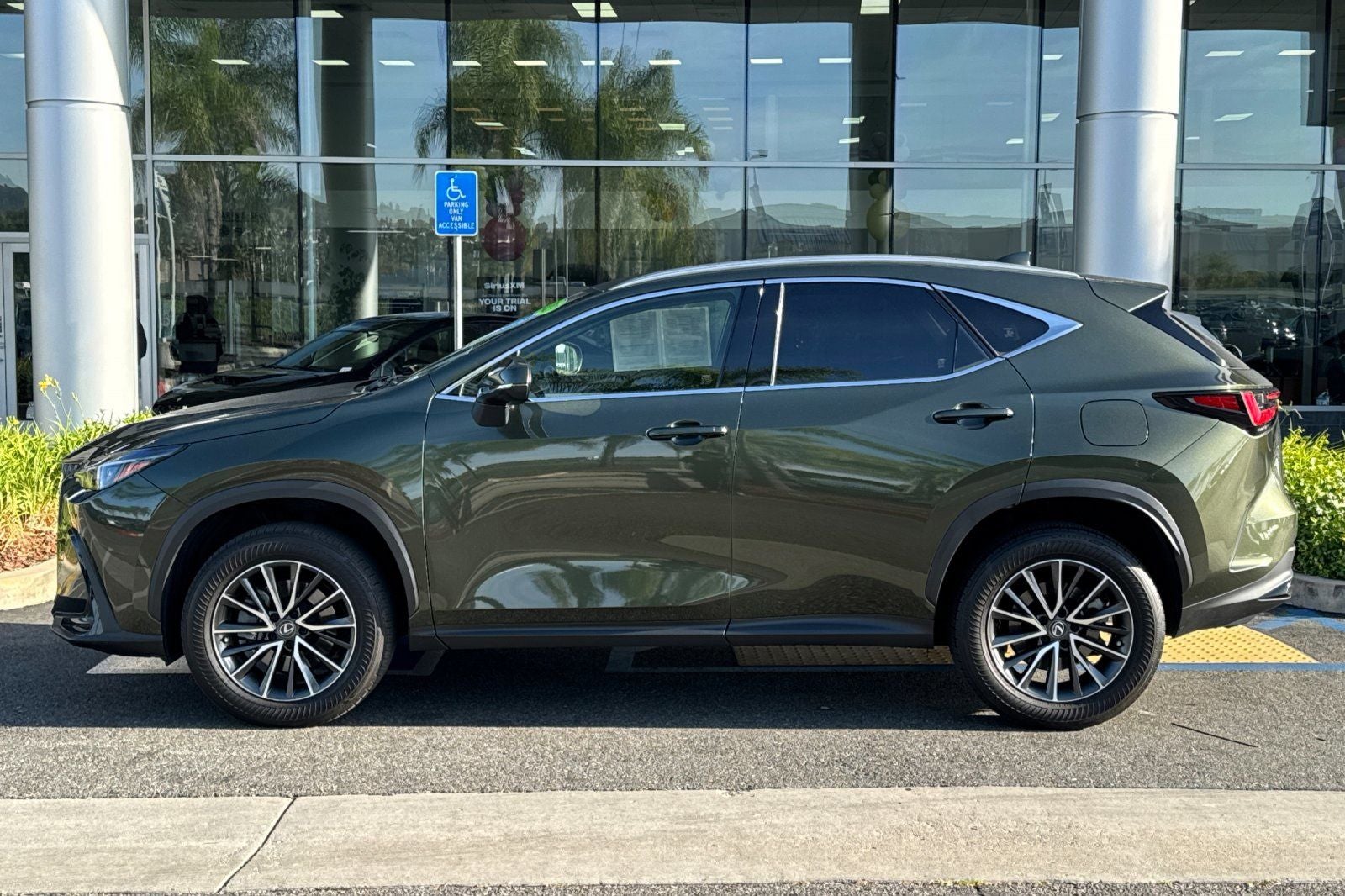 2023 Lexus NX 250 Base