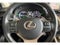 2019 Lexus NX 300h