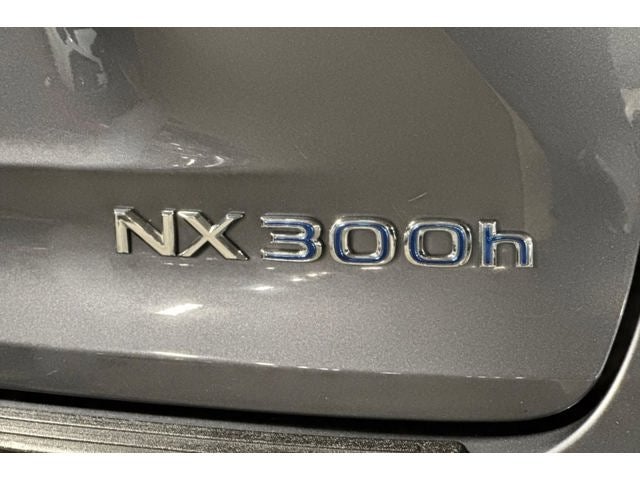 2019 Lexus NX 300h
