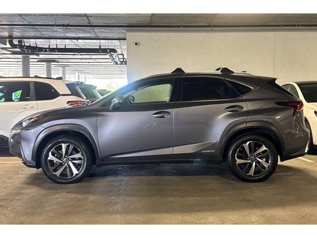 2019 Lexus NX 300h
