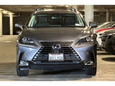 2019 Lexus NX 300h
