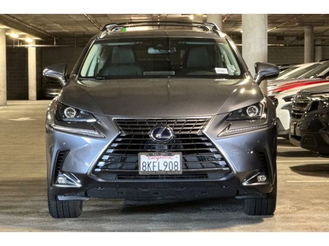2019 Lexus NX 300h
