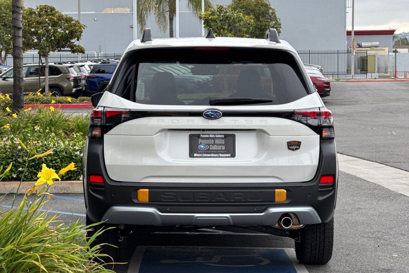 2026 Subaru Forester Wilderness