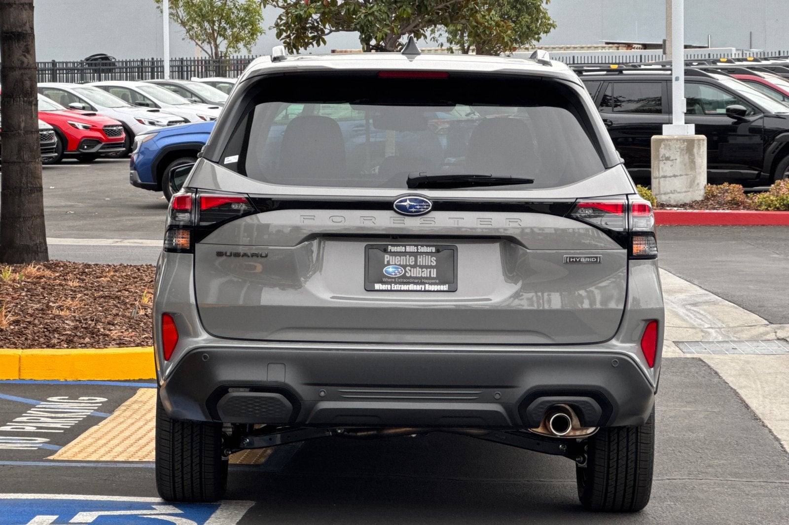 2026 Subaru Forester Touring Hybrid
