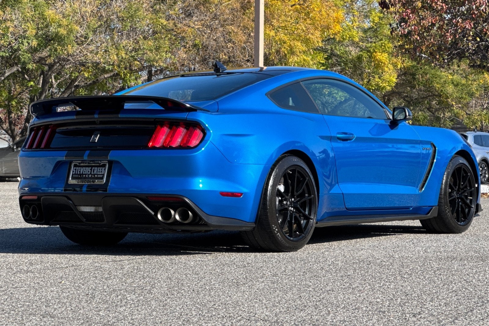 2020 Ford Mustang Shelby GT350 GT350 Equipment Group 900A