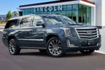 2019 Cadillac Escalade ESV Platinum Edition