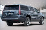 2019 Cadillac Escalade ESV Platinum Edition