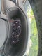 2026 Mazda Mazda CX-90 PHEV Premium Plus