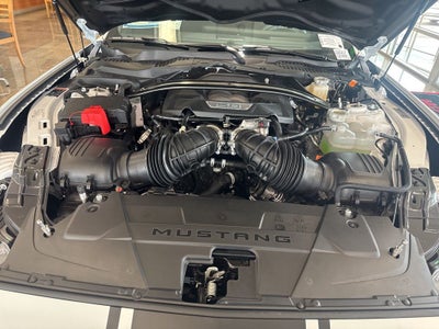 2026 Ford SHELBY SUPER SNAKE