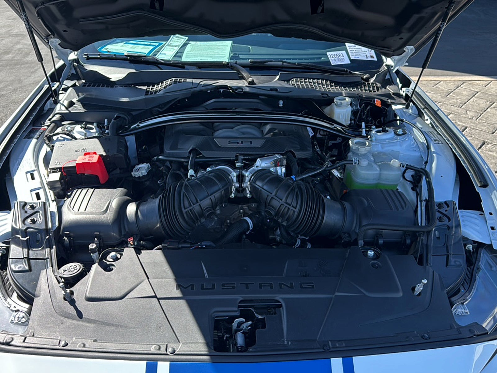2026 Ford SHELBY SUPER SNAKE