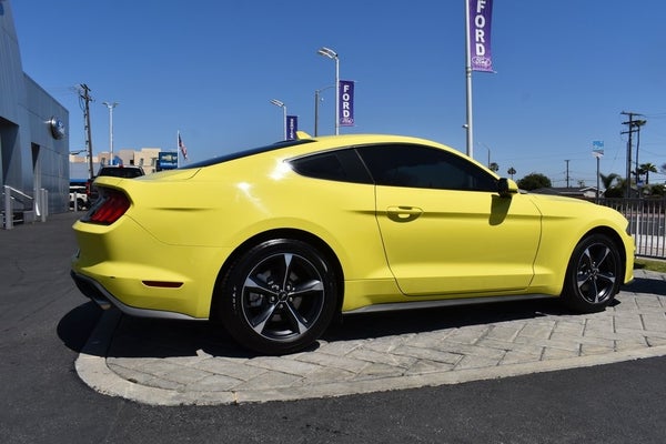 2021 Ford Mustang EcoBoost in San Jose, CA - Bakhtiari Auto Group
