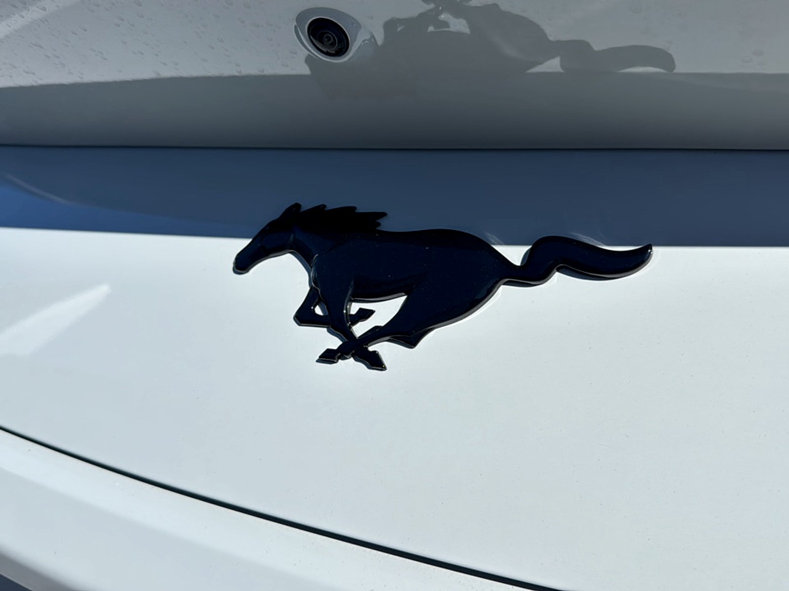 2026 Ford Mustang EcoBoost Fastback