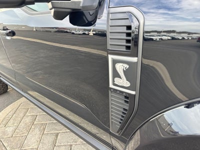 2026 Ford SHELBY F250 SUPER BAJA
