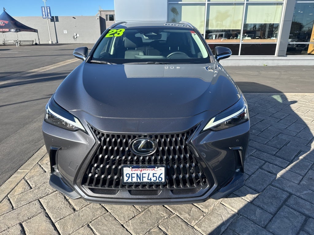 2023 Lexus NX 350 Premium
