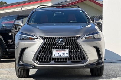 2023 Lexus NX 350h Premium